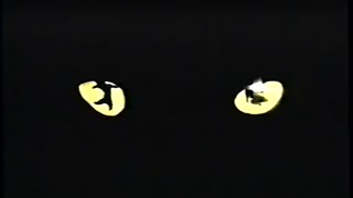 Opening to Mickey Loves Minnie 1996 VHS [upl. by Keeley]