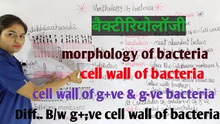 Morphology of Bacteria in hindi  Bacterial Structure  Bacteriology  By Manisha Maam [upl. by Aldous]