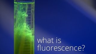 What is Fluorescence [upl. by Ayanahs]