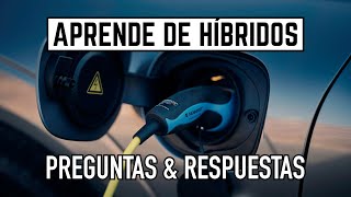 APRENDE DE HÍBRIDOS ¡PREGUNTAS amp RESPUESTAS [upl. by Eddra484]