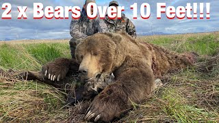 S20Ep6 SelfGuided 2 Monster Alaskan Brown Bears Over 10 Feet [upl. by Thorlay]