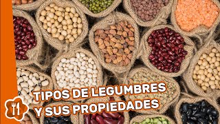 Tipos de legumbres y sus propiedades [upl. by Laughton]