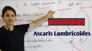 Ascaris Lumbricoides in hindi  Parasitology By Manisha Maam [upl. by Devondra970]