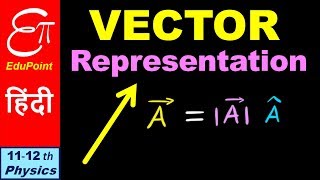 🔴 VECTOR REPRESENTATION  Magnitude and Direction  in HINDI [upl. by Aerdnak]