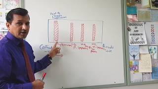 Lipoprotein Electrophoresis [upl. by Haase503]