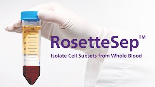 Isolate Cells from Whole Blood without Columns or Magnets RosetteSep™ Immunodensity Cell Separation [upl. by Attikin394]