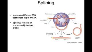 RNA Processing [upl. by Oileduab]