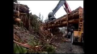 Extreme trucking on Vancouver Island [upl. by Llertnahs588]