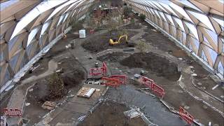 Fosters Crossrail Place roof garden at Canary Wharf [upl. by Sudderth]