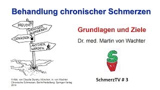 Behandlung chronischer Schmerzen  Grundlagen und Ziele [upl. by Maitund]