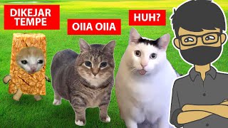 20 VIDEO KUCING TERLUCU NGAKAK BANGET [upl. by Tomasz423]