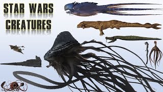 20 Biggest Star Wars Monsters  Explained [upl. by Otrebire]