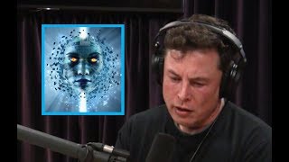 Elon Musk quotI tried to warn themquot The Danger of AI [upl. by Einnal]