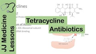 Tetracycline Antibiotics [upl. by Kamilah]