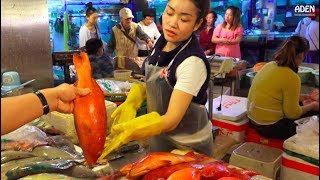 Sanya Fish Market  China  Hainan Island [upl. by Amice]