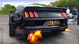 SCARY Ford Mustang V8 Sound Compilation 2020 [upl. by Colwen158]