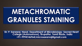 Metachromatic Granules Staining [upl. by Na961]