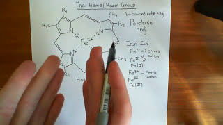 The Heme Group and Hemoglobin Part 1 [upl. by Ahsitneuq]