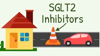 SGLT2 Inhibitors Mechanism of Action [upl. by Anale]