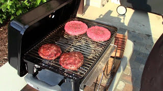 Review Weber GoAnywhere Charcoal Grill [upl. by Files160]