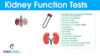 Kidney Function Tests and Interpretation of Results [upl. by Baruch]