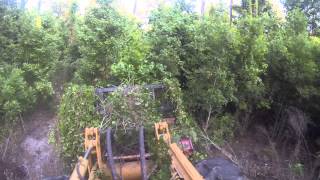 WCM Mulching machine  Forestry mucher fecon head 843G 500 HP [upl. by Wilhide478]