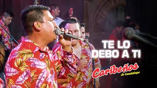 Te Lo Debo A Ti  Caribeños En Vivo  Fiesta Virgen de Guadalupe [upl. by Ennairoc8]