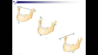 Lecture 7  Mandibular Movements [upl. by Marve]