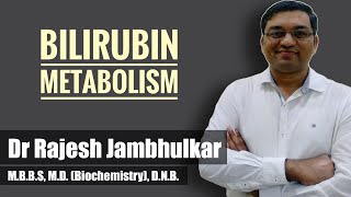 Bilirubin metabolism  Heme catabolism by Dr Rajesh Jambhulkar [upl. by Junno263]