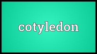 Cotyledon Meaning [upl. by Sabella]