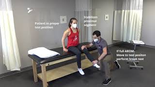 Introduction to Manual Muscle Testing [upl. by Koslo]