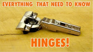 Cabinet Door Hinges  Everything you need to Know [upl. by Yanehs491]