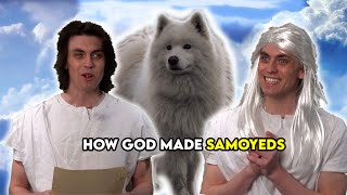 God Makes Samoyeds [upl. by Nagem]