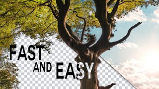 Two INCREDIBLE Photoshop Techniques To Cut Out Images  Difficult Selections Made EASY [upl. by Roosnam780]