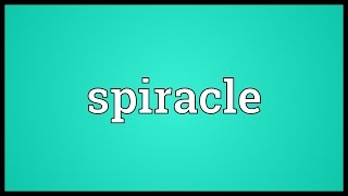 Spiracle Meaning [upl. by Lad616]