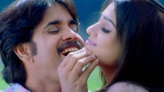 Boss Songs  Andagadu Muttukunte  Nagarjuna Nayantara [upl. by Ardelia]