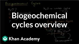 Biogeochemical cycles  Ecology  Khan Academy [upl. by Anerat]