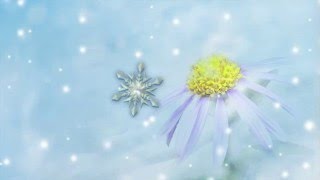 A Snowflake A Winter Story [upl. by Kevin525]