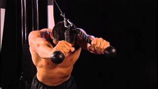 How to do Cable Bent Over Triceps Extensions 91 [upl. by Hillary]