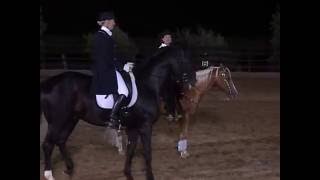 east meets west reining vs dressage [upl. by Nitnerb503]