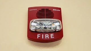 TrueAlert Horn Strobe Fire Alarm [upl. by Vinita]