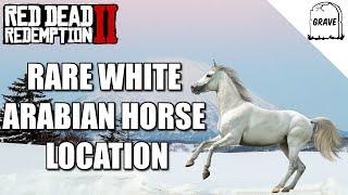 Rare White Arabian Horse Location Red Dead Redemption 2 [upl. by Ayotnom]