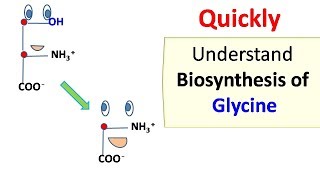 Glycine biosynthesis [upl. by Atwood397]