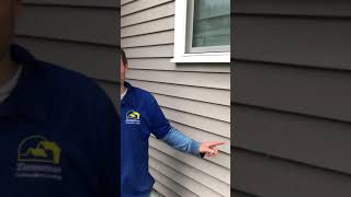 how to clean fly poop or artillery fungus stains off vinyl siding [upl. by Colburn]