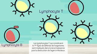 Le système immunitaire [upl. by Jeffers]