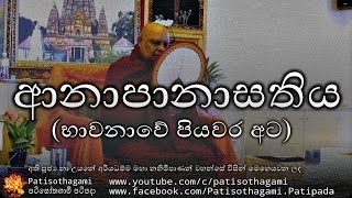 Anapanasathiya anapanasati bhavana  ආනාපානාසතිය 8  ven nauyane ariyadhamma maha thero [upl. by Harac844]