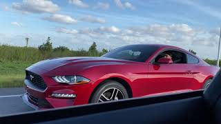 2020 Mustang Ecoboost vs 2017 Mustang GT both stock [upl. by Reivaxe]