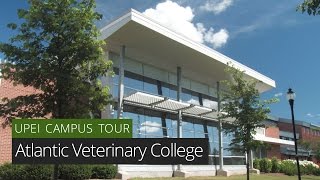 Atlantic Veterinary College  UPEI Campus Tour [upl. by Garceau168]