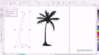 Corel DRAW X4 Tutorial Wektorowa palma [upl. by Dloreg264]