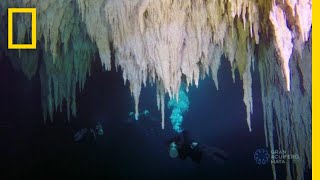 Explore the Worlds Largest Underwater Cave  National Geographic [upl. by Antons783]